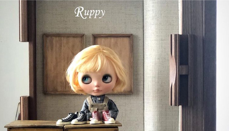 KAGUKA ドールハウスタイプ - 使用例